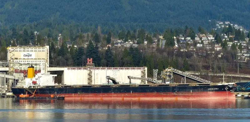 DUNFENG MANILA Bulk Carrier IMO 9046344