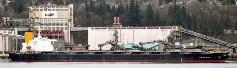 DUNFENG MANILA Bulk Carrier IMO 9046344 photo 3