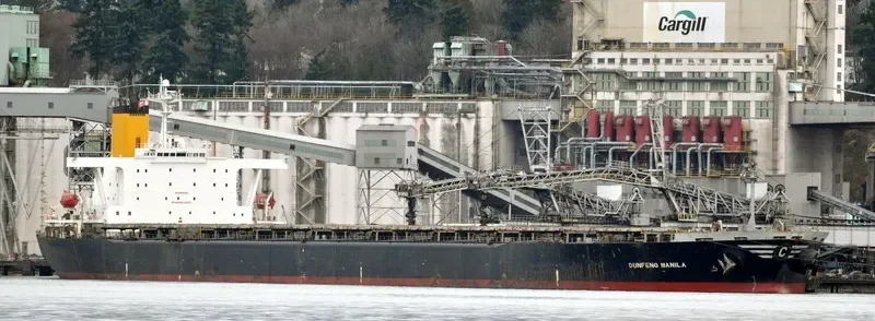 DUNFENG MANILA Bulk Carrier IMO 9046344 photo 4