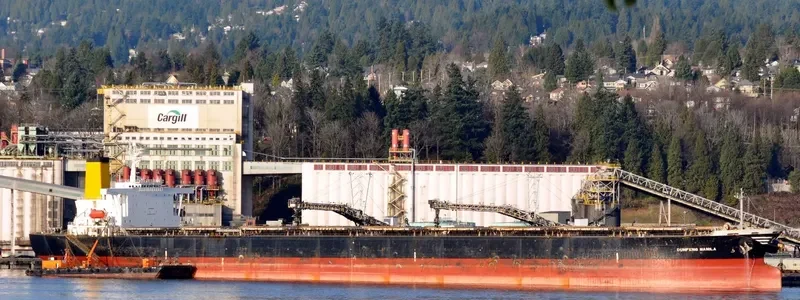 DUNFENG MANILA Bulk Carrier IMO 9046344 photo 5