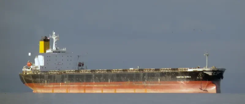 DUNFENG MANILA Bulk Carrier IMO 9046344 photo 8