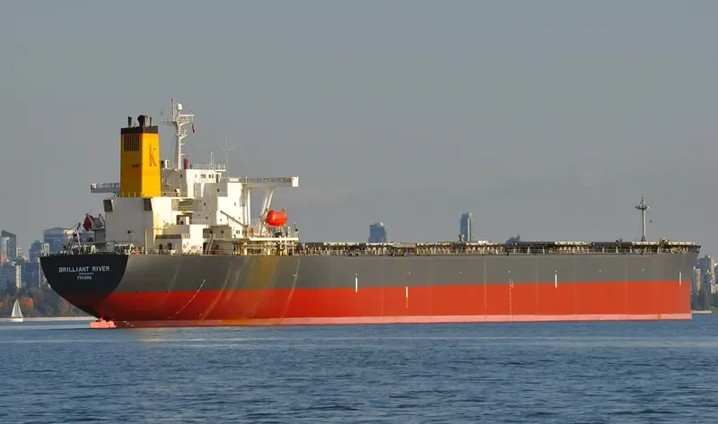 DUNFENG MANILA Bulk Carrier IMO 9046344 photo 10