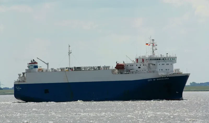 FREESIA General Cargo IMO 9046368