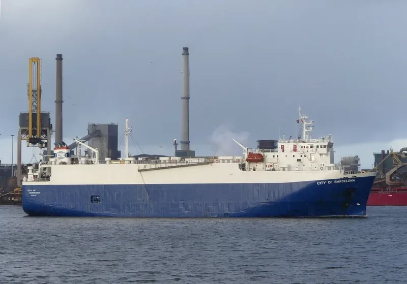 FREESIA General Cargo IMO 9046368 photo 2