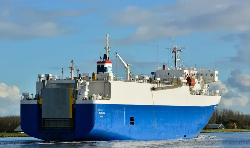 FREESIA General Cargo IMO 9046368 photo 3