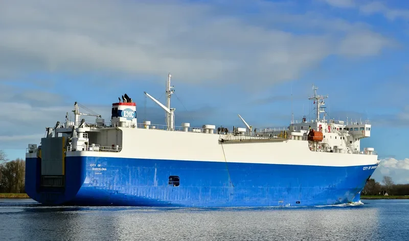 FREESIA General Cargo IMO 9046368 photo 4