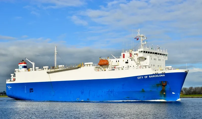 FREESIA General Cargo IMO 9046368 photo 5