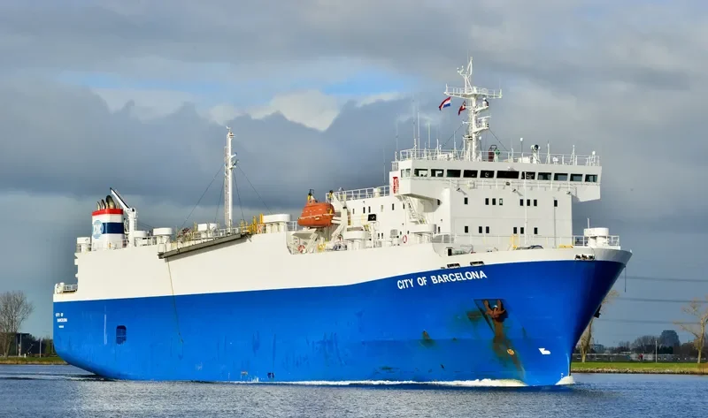 FREESIA General Cargo IMO 9046368 photo 6