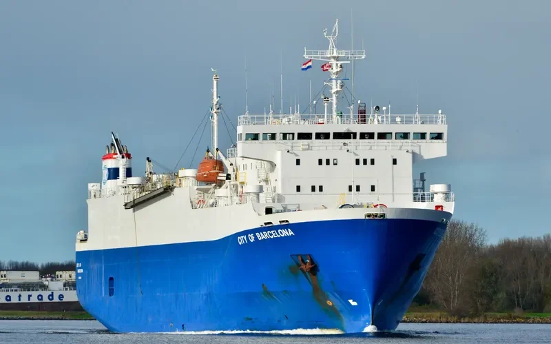 FREESIA General Cargo IMO 9046368 photo 7