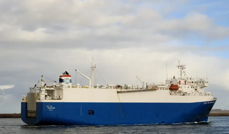 FREESIA General Cargo IMO 9046368 photo 8