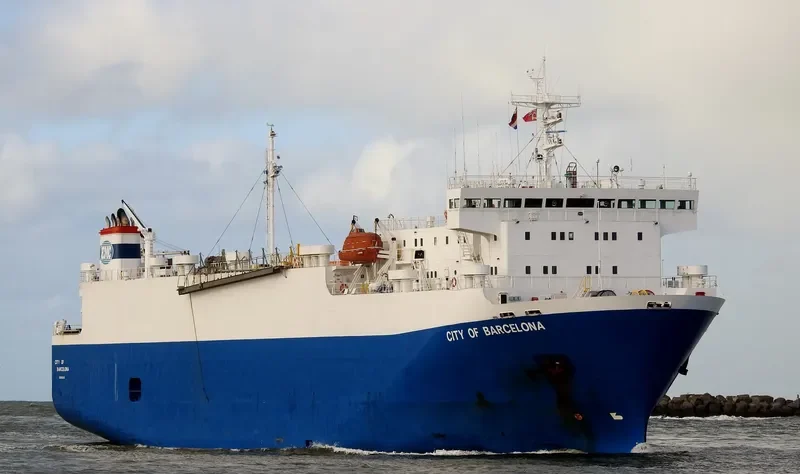 FREESIA General Cargo IMO 9046368 photo 9