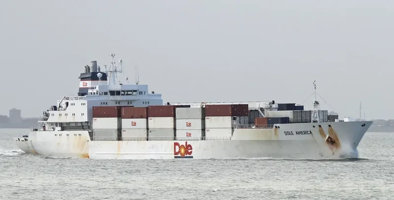 DOLE AMERICA General Cargo IMO 9046502