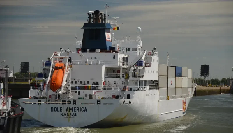 DOLE AMERICA General Cargo IMO 9046502 photo 2