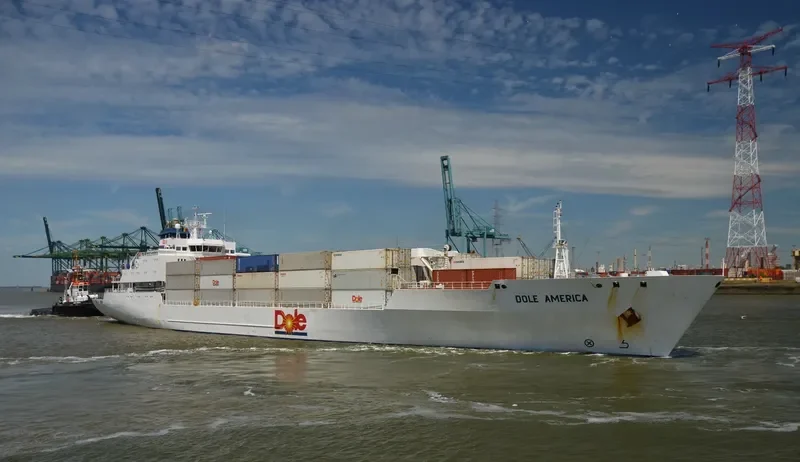 DOLE AMERICA General Cargo IMO 9046502 photo 3