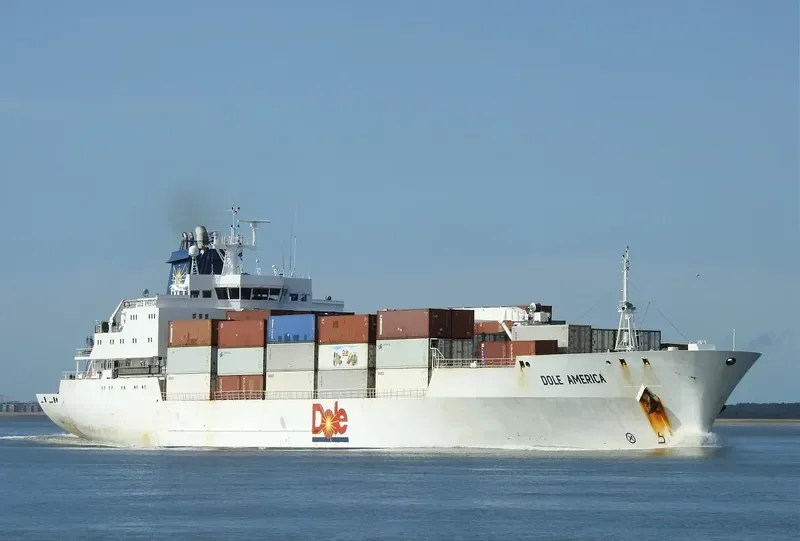 DOLE AMERICA General Cargo IMO 9046502 photo 4