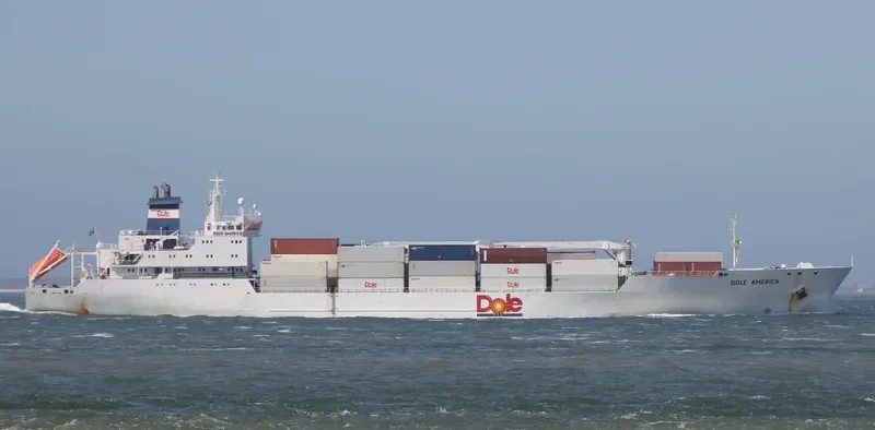 DOLE AMERICA General Cargo IMO 9046502 photo 5