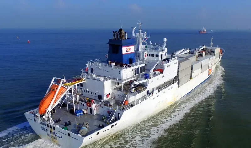 DOLE AMERICA General Cargo IMO 9046502 photo 8