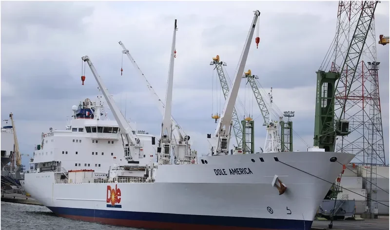 DOLE AMERICA General Cargo IMO 9046502 photo 10