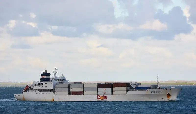 DOLE EUROPA General Cargo IMO 9046514