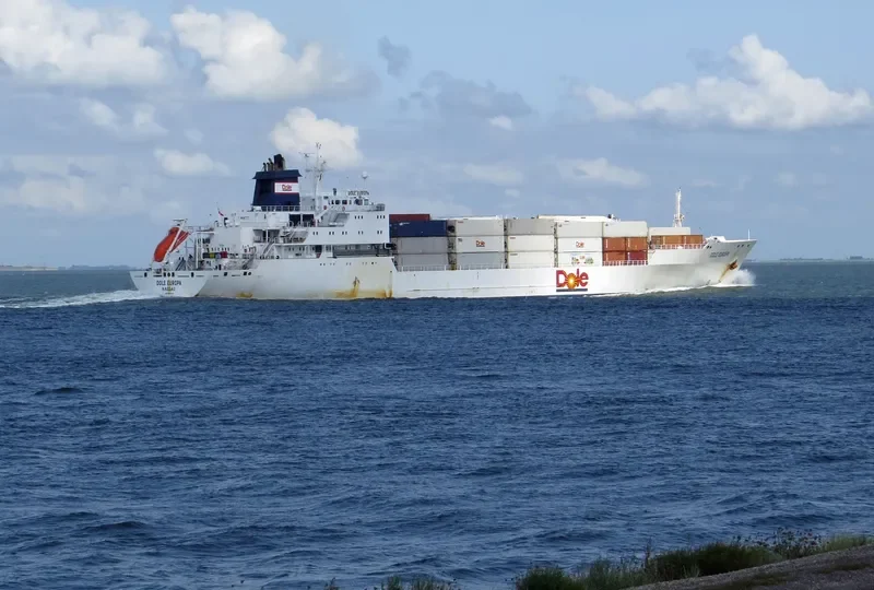 DOLE EUROPA General Cargo IMO 9046514 photo 3