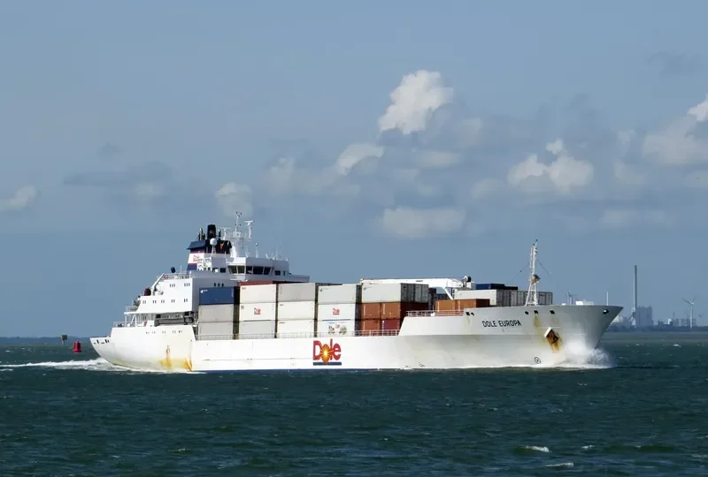 DOLE EUROPA General Cargo IMO 9046514 photo 5