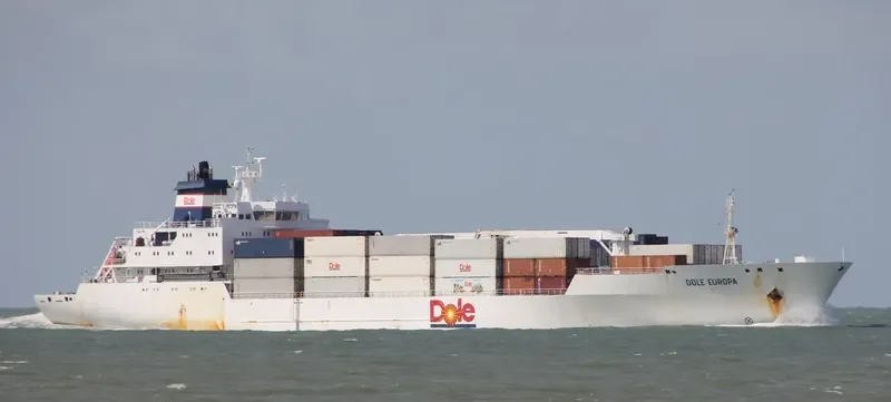 DOLE EUROPA General Cargo IMO 9046514 photo 7