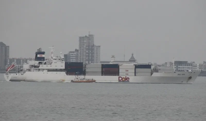 DOLE ASIA General Cargo IMO 9046526