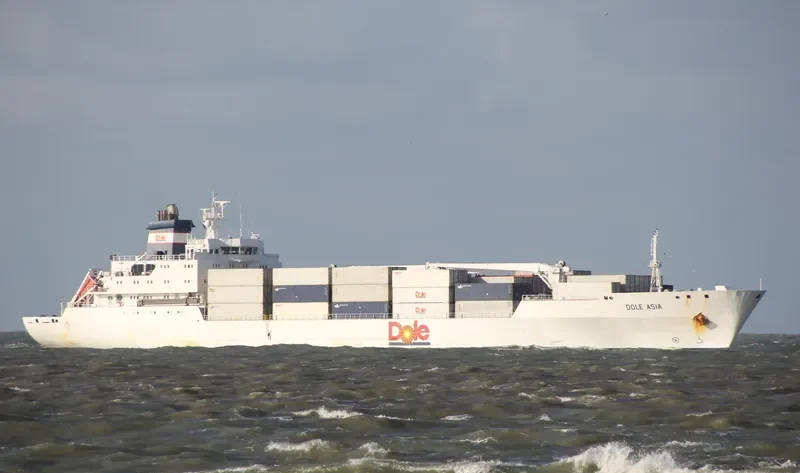 DOLE ASIA General Cargo IMO 9046526 photo 2