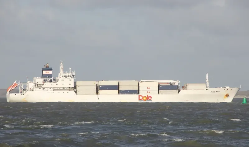 DOLE ASIA General Cargo IMO 9046526 photo 3