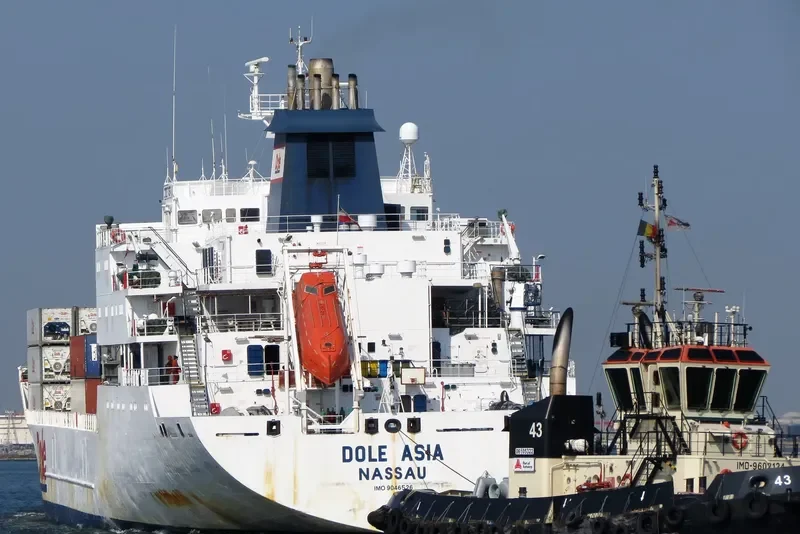 DOLE ASIA General Cargo IMO 9046526 photo 4