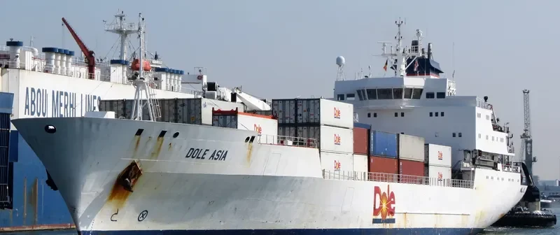 DOLE ASIA General Cargo IMO 9046526 photo 5