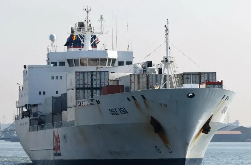 DOLE ASIA General Cargo IMO 9046526 photo 6
