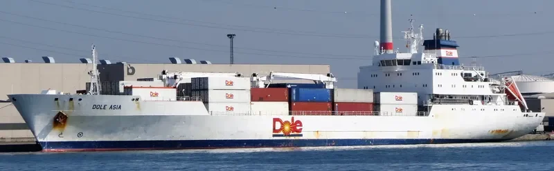 DOLE ASIA General Cargo IMO 9046526 photo 7
