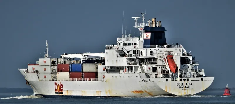 DOLE ASIA General Cargo IMO 9046526 photo 8
