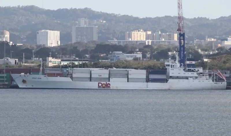 DOLE ASIA General Cargo IMO 9046526 photo 9