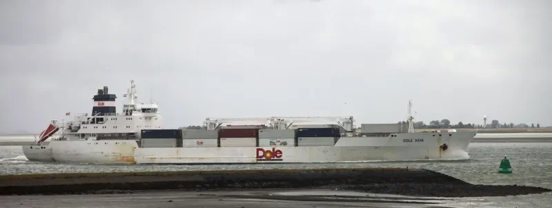 DOLE ASIA General Cargo IMO 9046526 photo 10