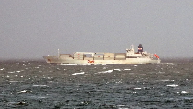 DOLE AFRICA General Cargo IMO 9046538