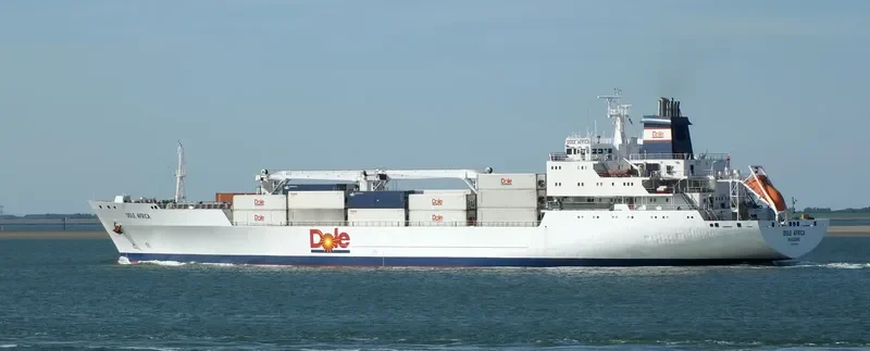 DOLE AFRICA General Cargo IMO 9046538 photo 2