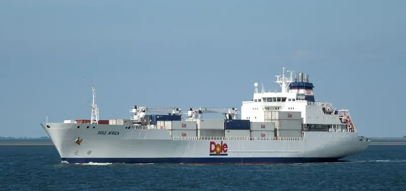 DOLE AFRICA General Cargo IMO 9046538 photo 3