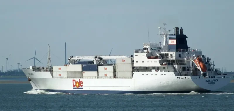 DOLE AFRICA General Cargo IMO 9046538 photo 4