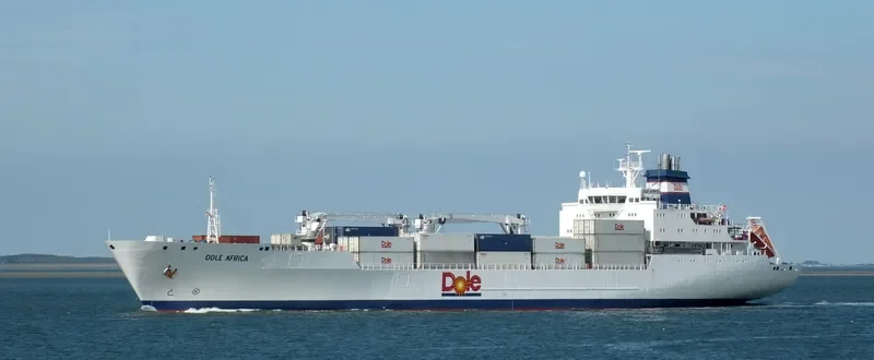 DOLE AFRICA General Cargo IMO 9046538 photo 5