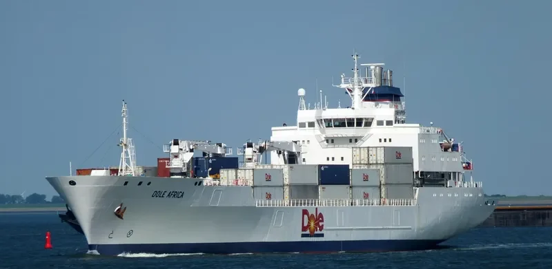 DOLE AFRICA General Cargo IMO 9046538 photo 6