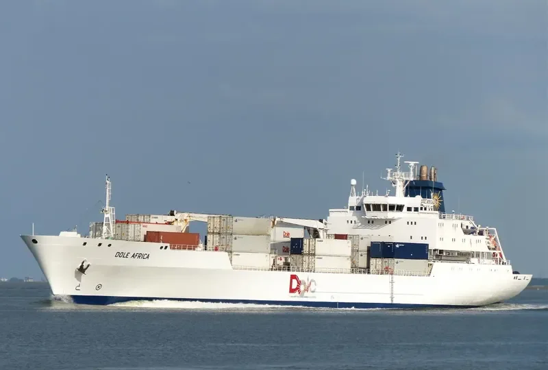 DOLE AFRICA General Cargo IMO 9046538 photo 7