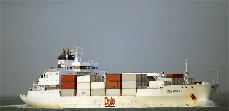 DOLE AFRICA General Cargo IMO 9046538 photo 9