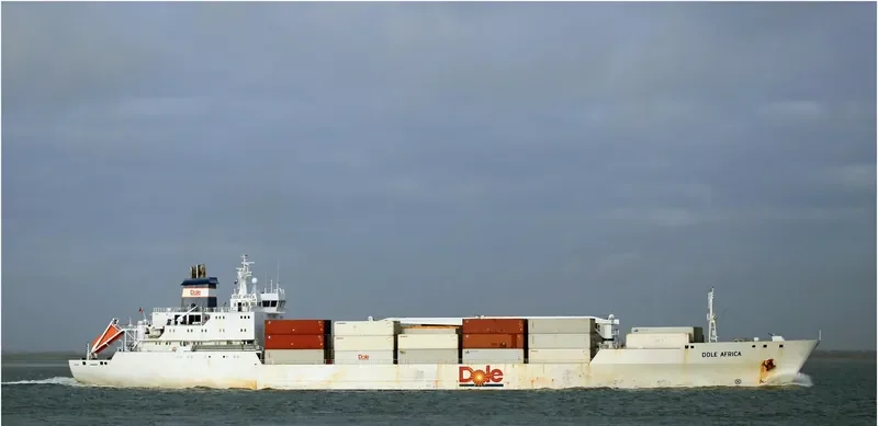 DOLE AFRICA General Cargo IMO 9046538 photo 10