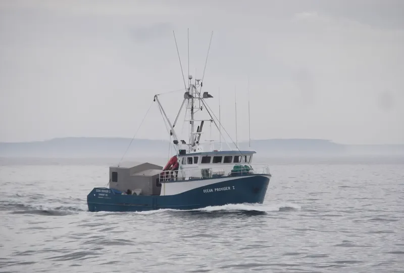 OCEAN PROVIDER I General Cargo IMO 9046552 photo 3