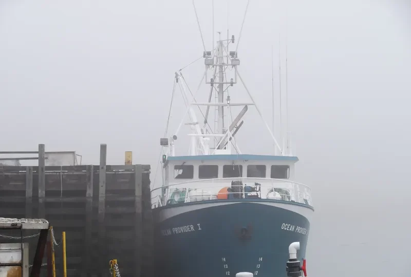 OCEAN PROVIDER I General Cargo IMO 9046552 photo 6