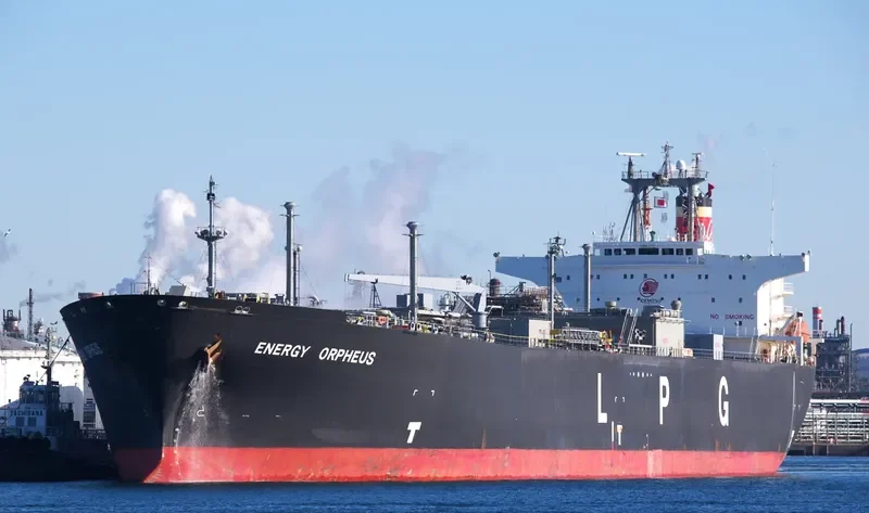 GAS ORPHEUS General Cargo IMO 9046784 photo 3