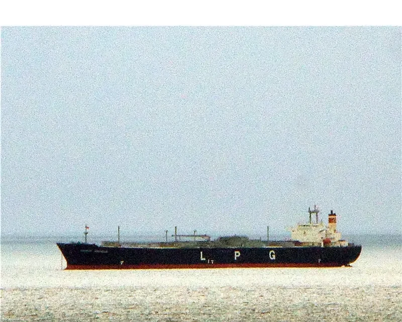 GAS ORPHEUS General Cargo IMO 9046784 photo 10