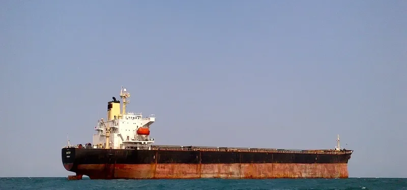 EVERTOP Bulk Carrier IMO 9046904
